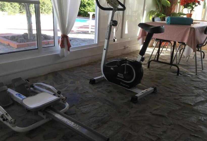 تختخواب و صبحانه Amendoeirashouse