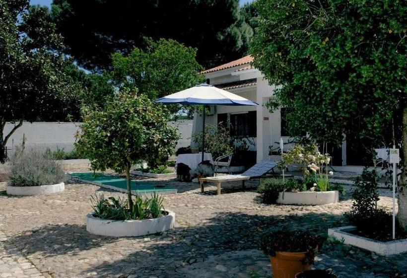 تختخواب و صبحانه Amendoeirashouse