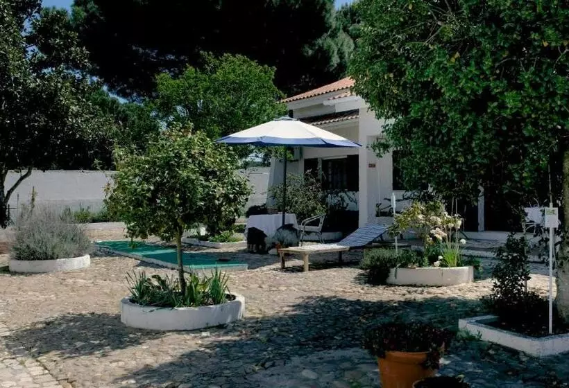 ベッドアンドブレックファースト Amendoeirashouse