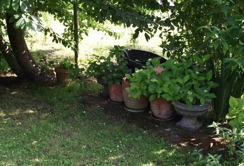 Aamiaismajoitus (B&B) Chambre D Hôtes Le Vaujoint