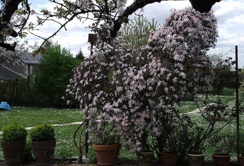 צימר Chambre D Hôtes Le Vaujoint