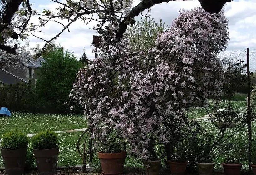 Aamiaismajoitus (B&B) Chambre D Hôtes Le Vaujoint