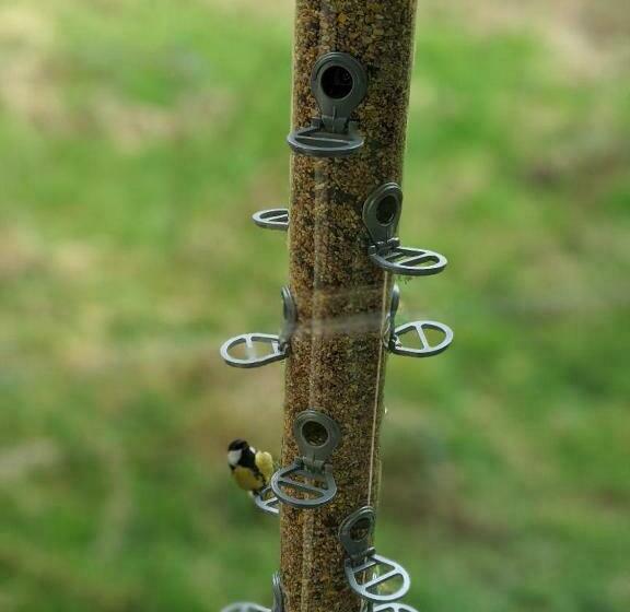 مبيت وإفطار Glan Brennig