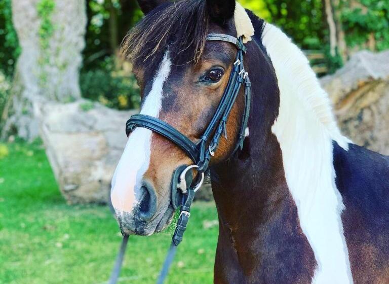 ベッドアンドブレックファースト L échappée Saline