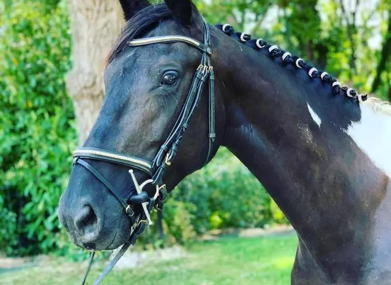 Aamiaismajoitus (B&B) L échappée Saline