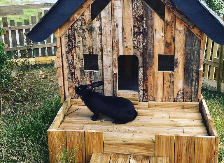 ベッドアンドブレックファースト L échappée Saline