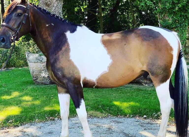 ベッドアンドブレックファースト L échappée Saline