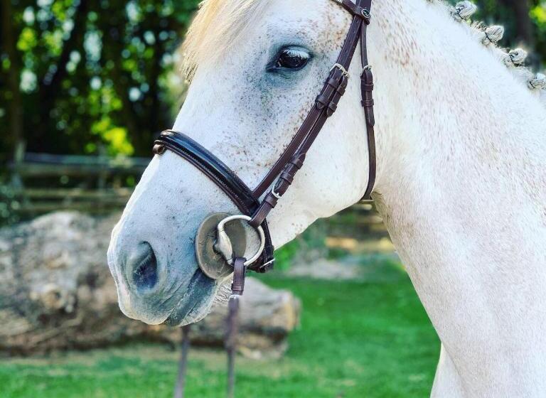 ベッドアンドブレックファースト L échappée Saline