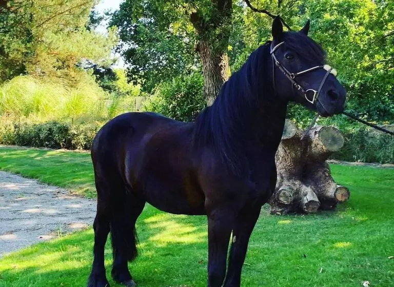 Aamiaismajoitus (B&B) L échappée Saline