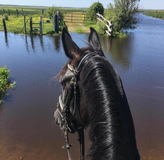 ベッドアンドブレックファースト L échappée Saline