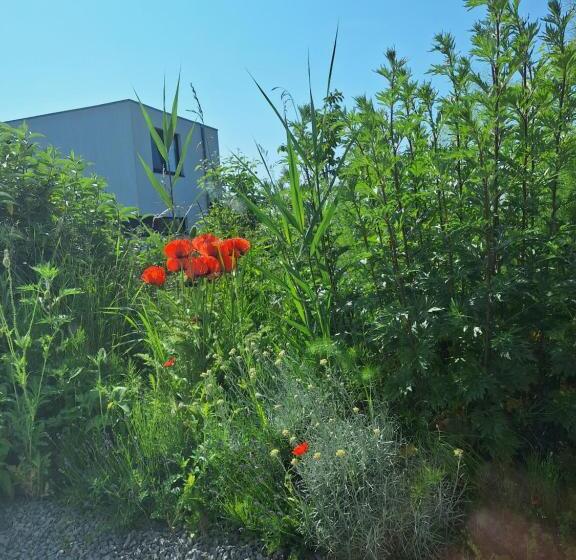 צימר Luxury Suites Oosterwold