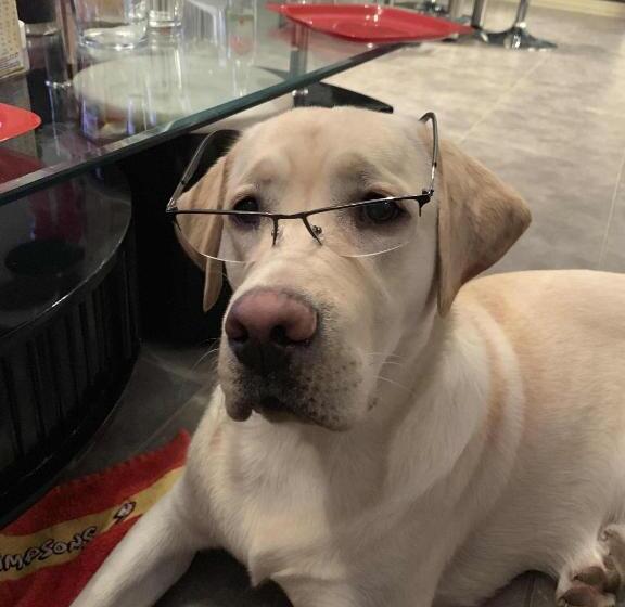 Bed and Breakfast Maison Piscine Et Jacuzzi