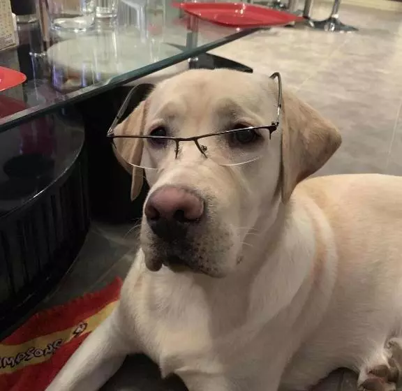 Bed and Breakfast Maison Piscine Et Jacuzzi