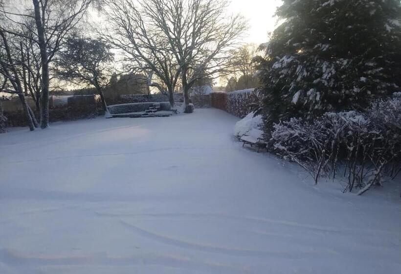 تختخواب و صبحانه Petites Tailles Chambre D Hôtes