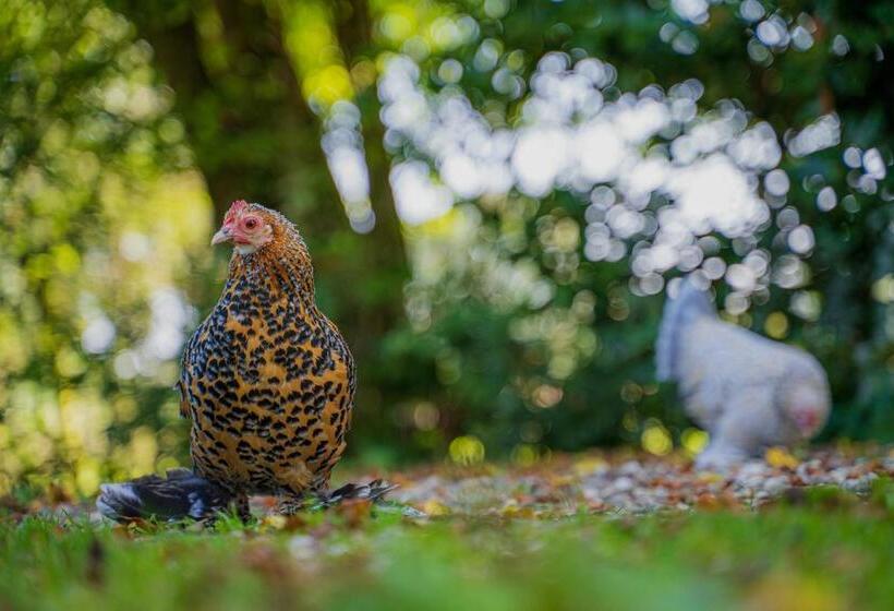 مبيت وإفطار Sallandelijk Bakhuis