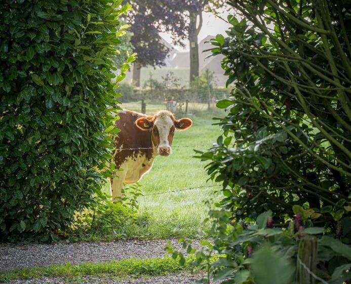 مبيت وإفطار Sallandelijk Bakhuis