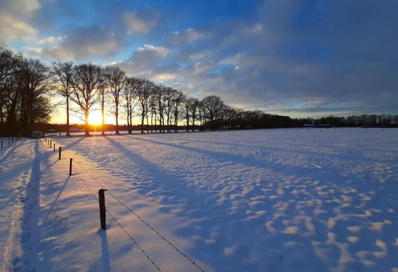 مبيت وإفطار Sallandelijk Bakhuis