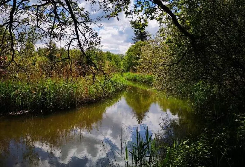 Boutique Hotel Lytel Blue