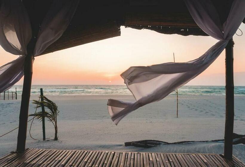 Club Monet Beachfront Resort By Cocotel