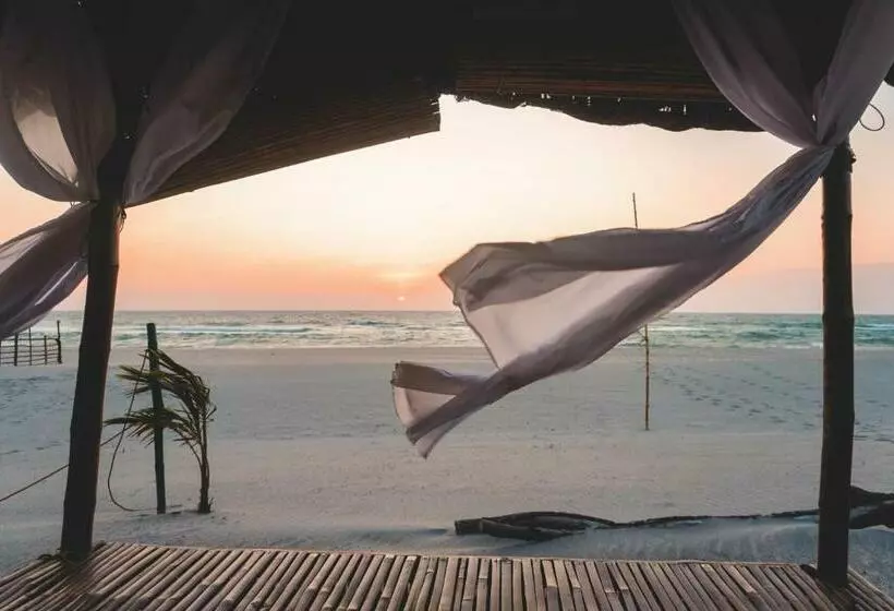 Club Monet Beachfront Resort By Cocotel