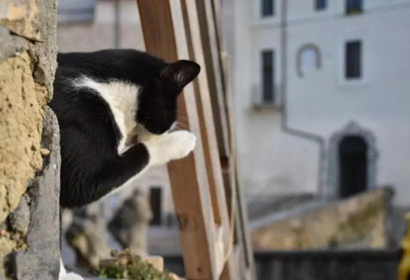 ペンション Il Cortile Del Castello