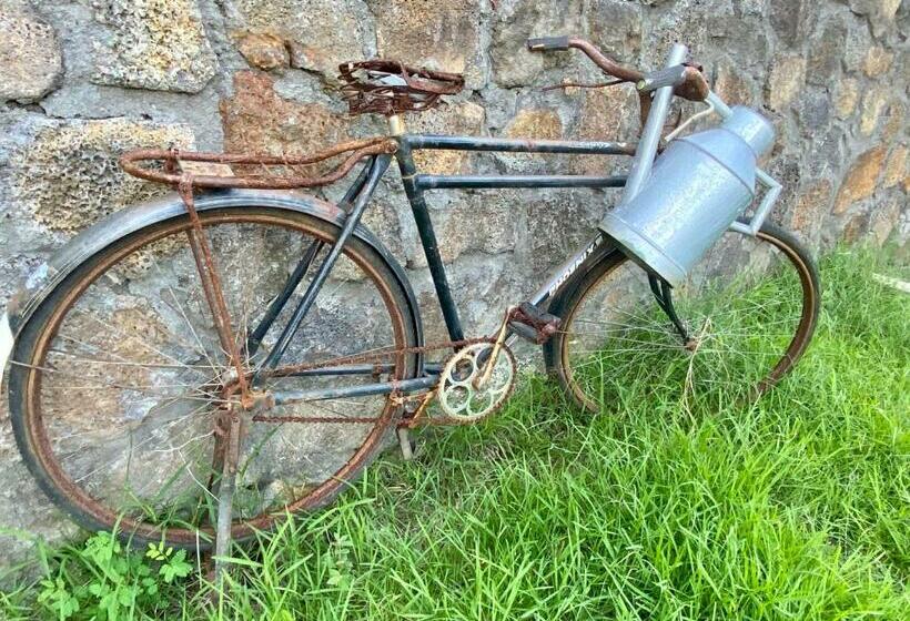 پانسیون Kstudios