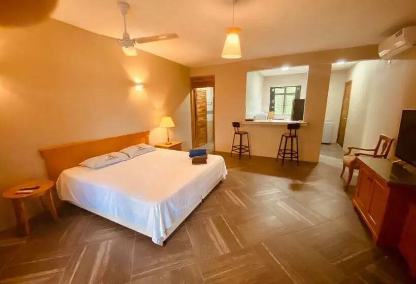 پانسیون Kstudios