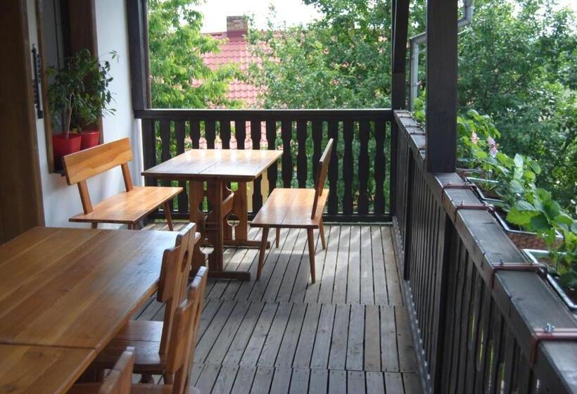 بنسيون Penzion Pod Hamižnou