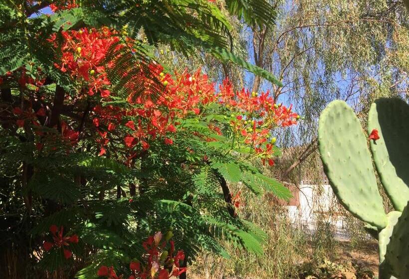 پانسیون Vereda De Las Camellas