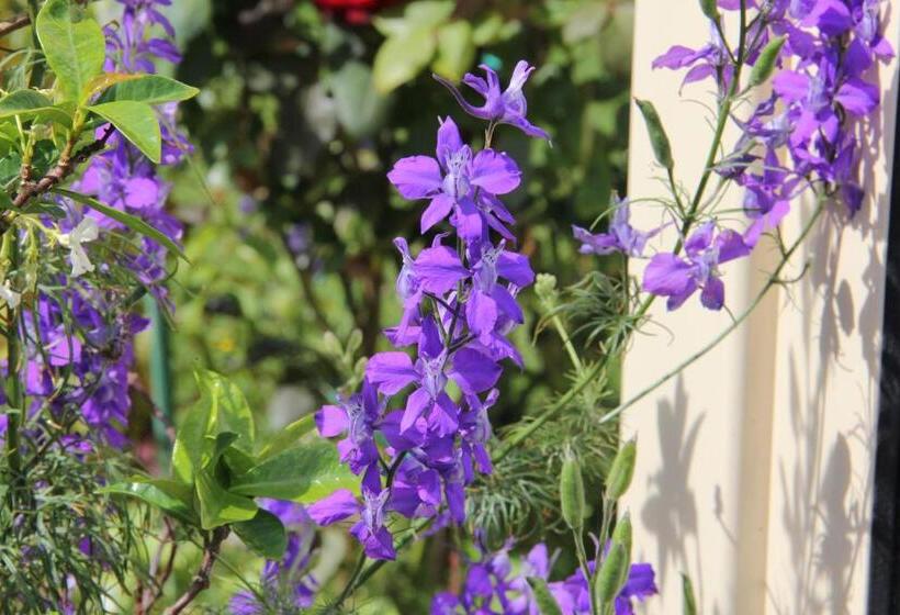 تختخواب و صبحانه Chambre D Hôtes Aux Sables D Olonne