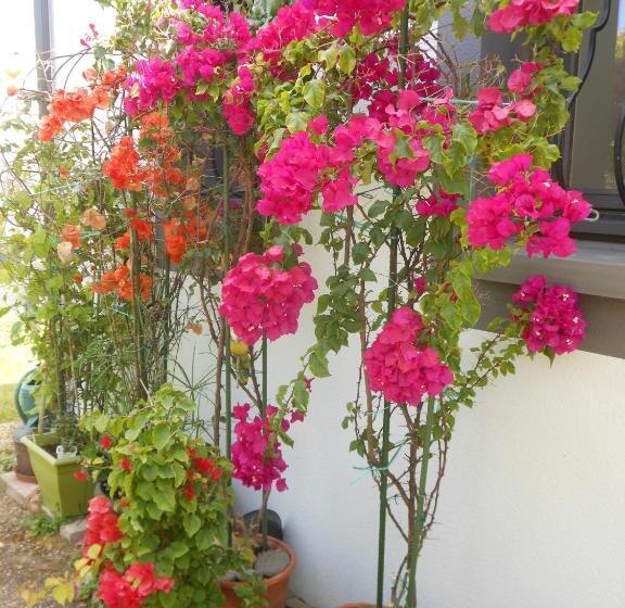 تختخواب و صبحانه Chambre D Hôtes Aux Sables D Olonne