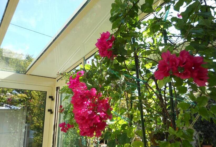 تختخواب و صبحانه Chambre D Hôtes Aux Sables D Olonne