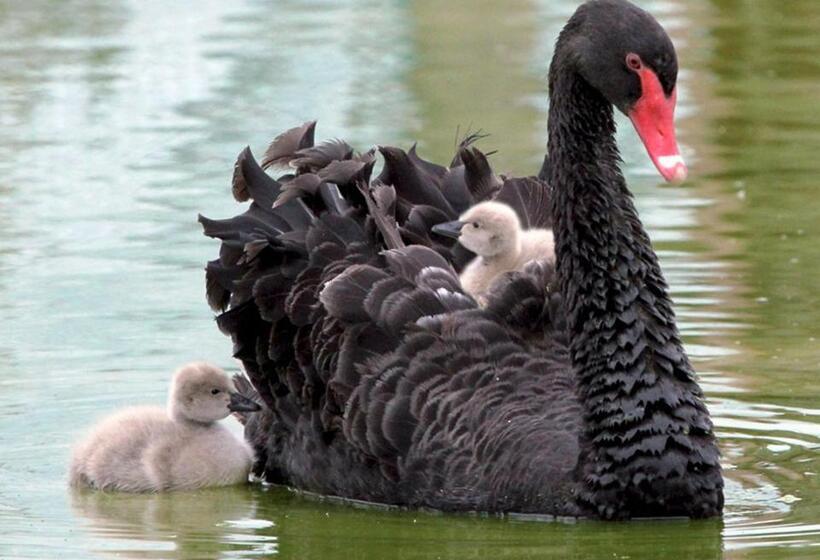 مبيت وإفطار Studio Indépendant Chez L Habitant