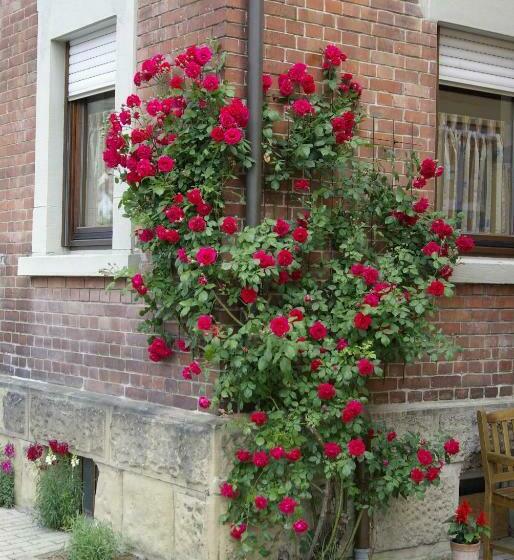 펜션 Gästezimmer Zwischen Neckar Und Enz