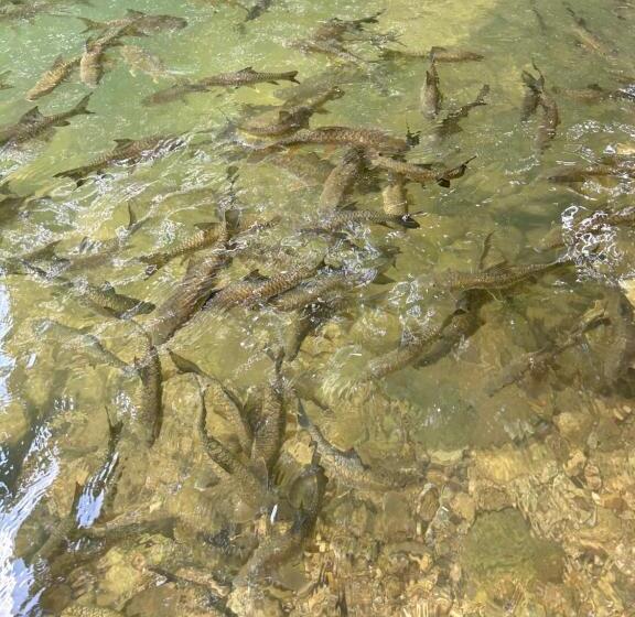 펜션 Kung Nok Tha Resort Nakhon Si Thammarat