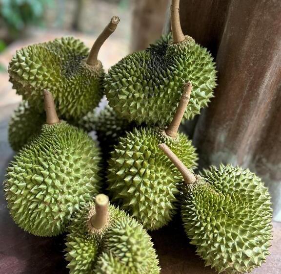 펜션 Kung Nok Tha Resort Nakhon Si Thammarat