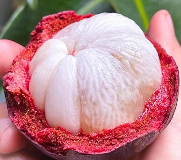 펜션 Kung Nok Tha Resort Nakhon Si Thammarat