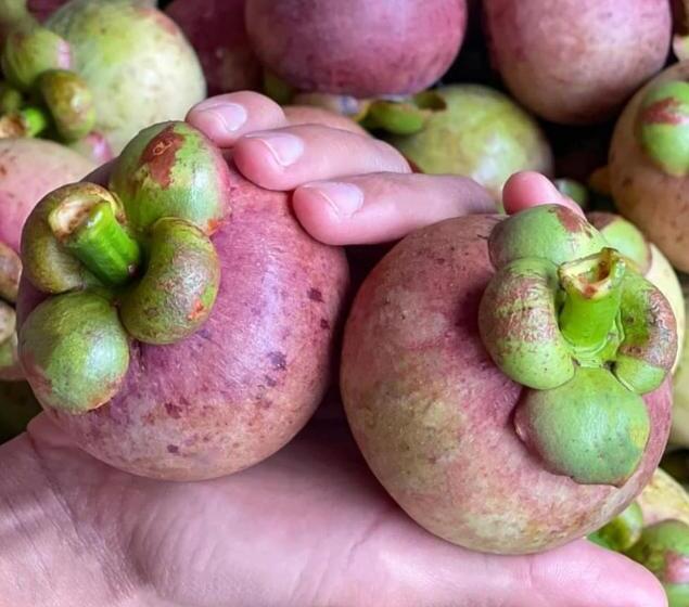 펜션 Kung Nok Tha Resort Nakhon Si Thammarat