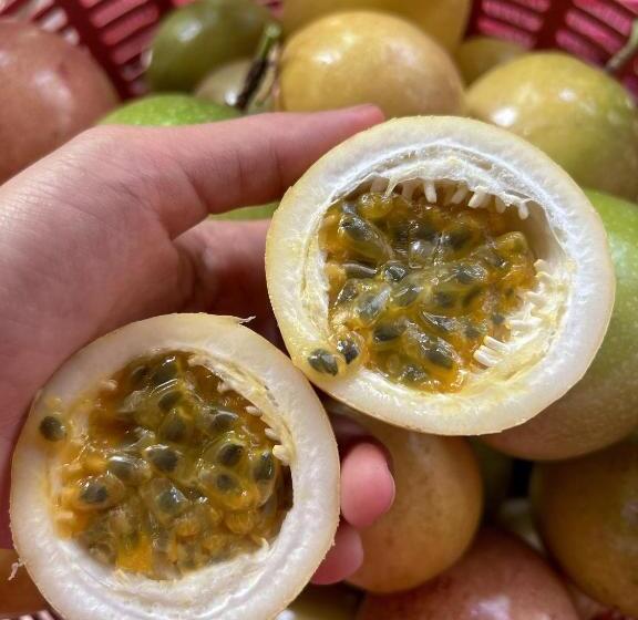 펜션 Kung Nok Tha Resort Nakhon Si Thammarat