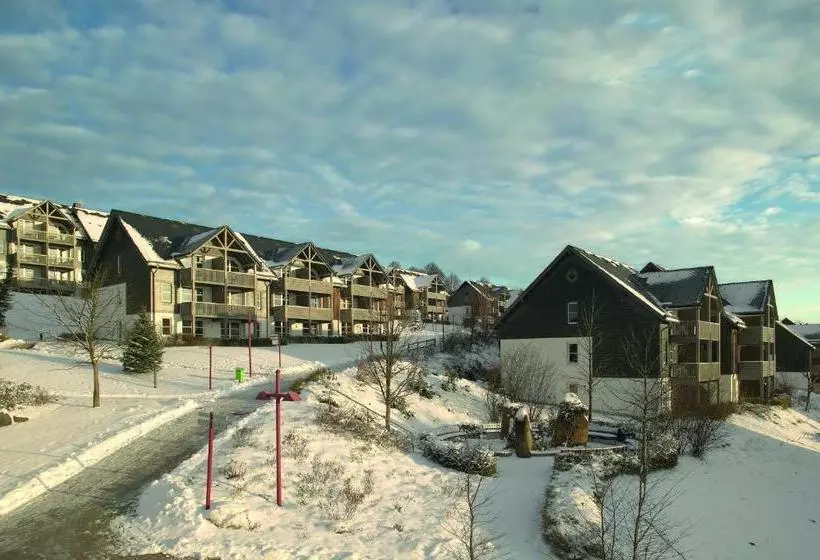 리조트 Hapimag Ferienwohnungen Winterberg