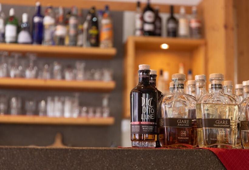 Отель Alpine Mugon