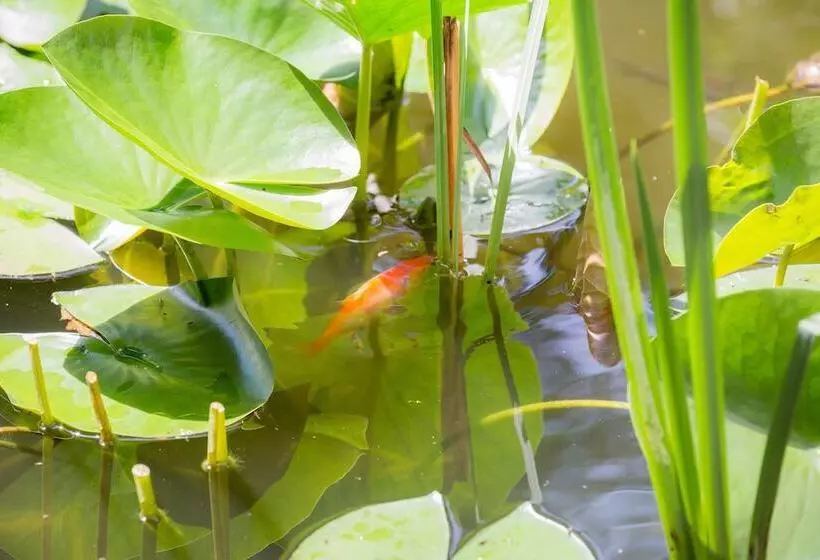 Отель Bio Design Boutique Landhaus St Georg