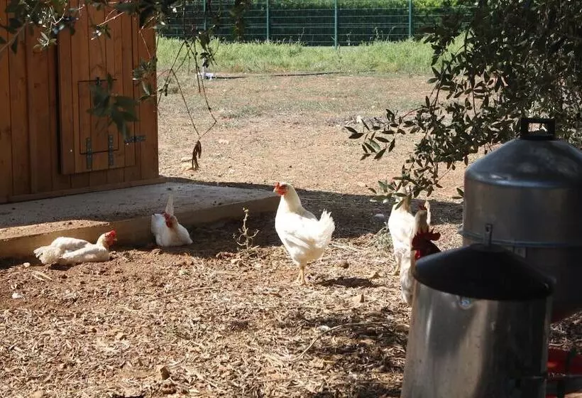 فندق Tenuta Moreno