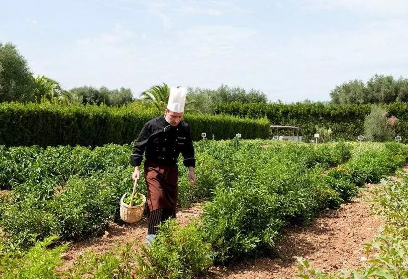 فندق Tenuta Moreno