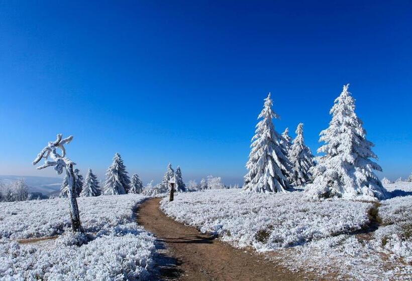 استراحتگاه Hapimag Ferienwohnungen Winterberg