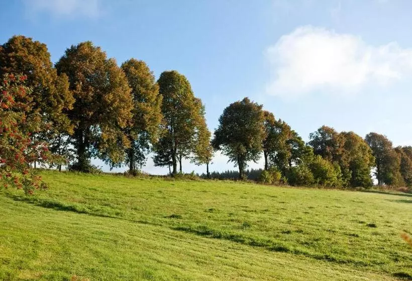 리조트 Hapimag Ferienwohnungen Winterberg