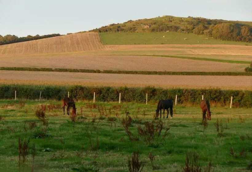 Aamiaismajoitus (B&B) Nature Et Plage