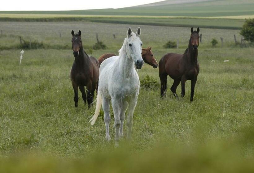 Bed and Breakfast Nature Et Plage