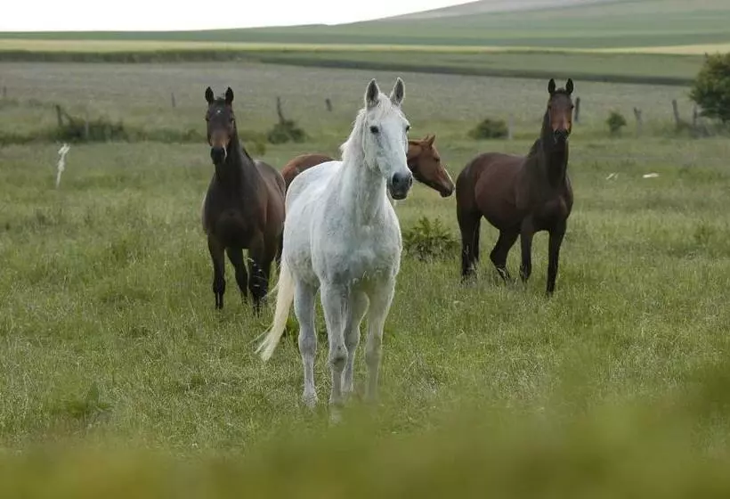 Aamiaismajoitus (B&B) Nature Et Plage