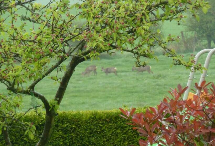 Bed and Breakfast Nature Et Plage